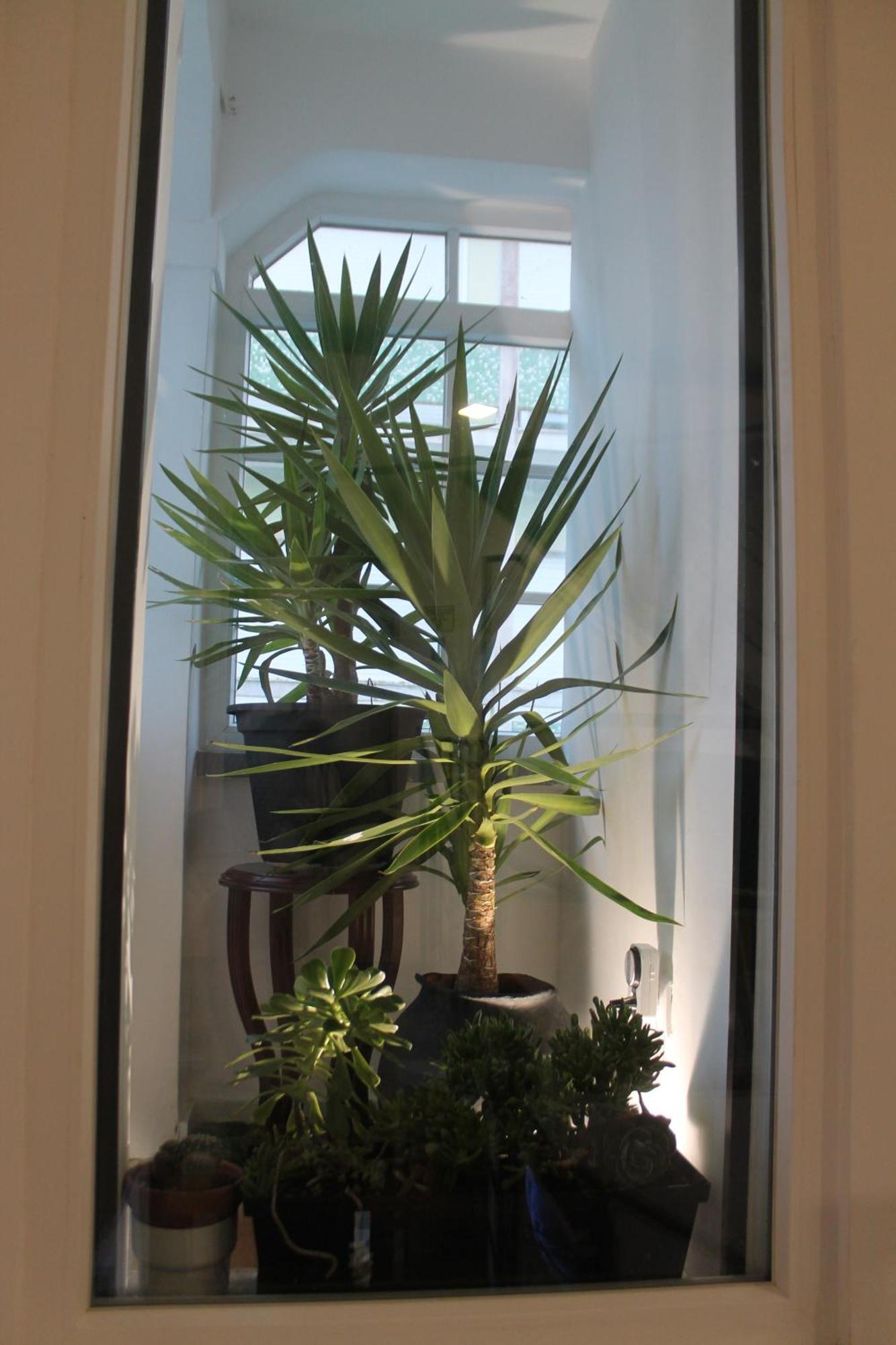 Real Guest House Costa da Caparica Bagian luar foto